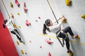 《疯狂动物城2》马飞扬强势入场：迪士尼动画马术圈群星汇聚！