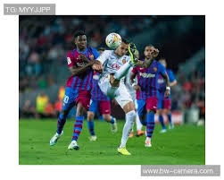 炸金花新手最容易输在哪（炸金花新手最常败在何处）